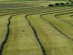 drohnenbild_2_joe_kaeser